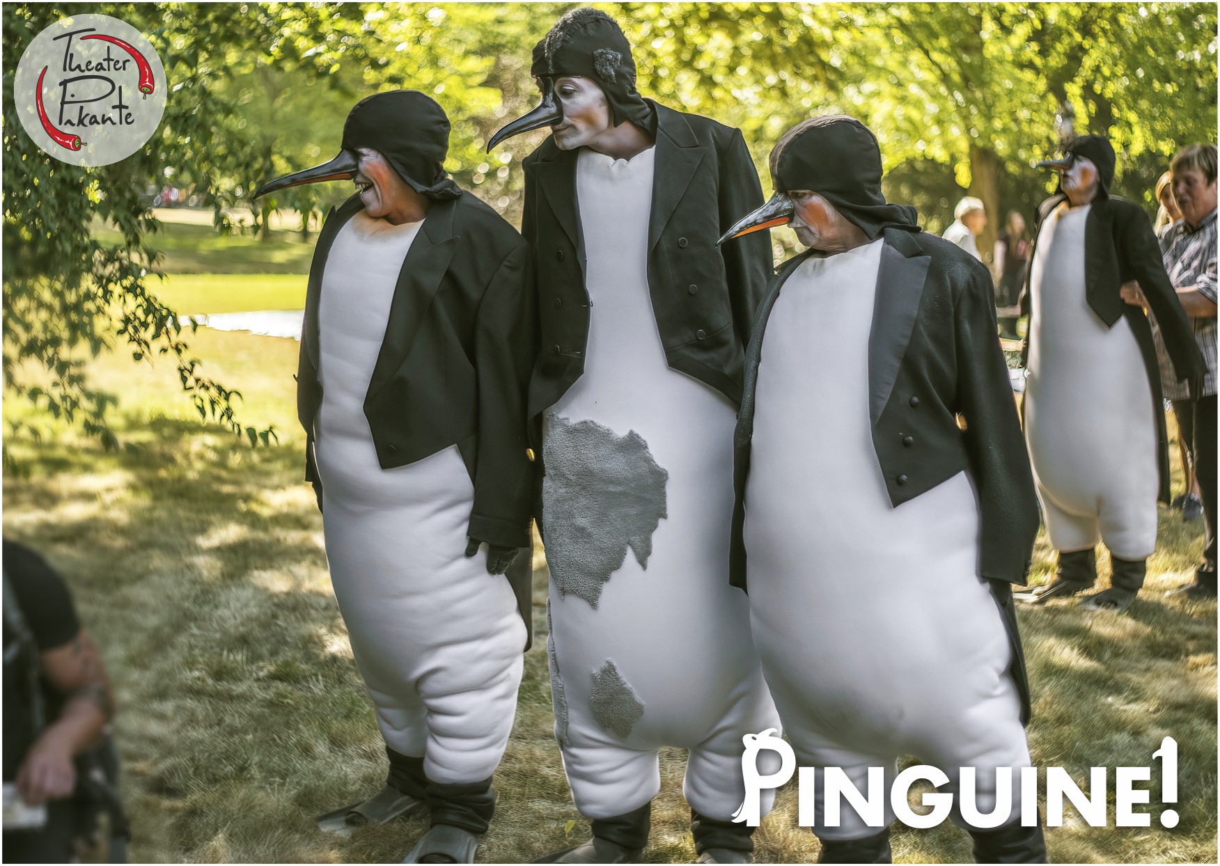 2019 Pinguine Postkarte A5 vorne